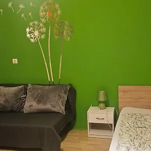 Zizi , Debrecen Magyarország